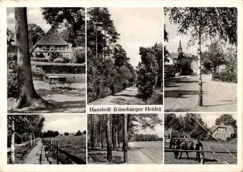 hanstedt, lüneburger heide (Nr. 10030)