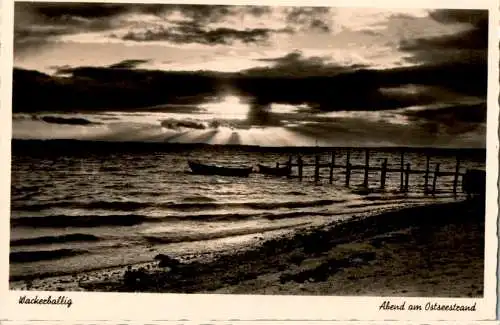 wackerballig, abend am ostseestrand (Nr. 10198)