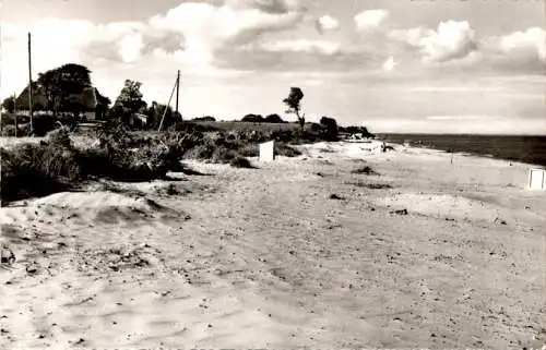 ostseestrand pottloch (Nr. 10199)