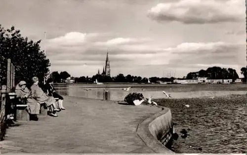 schleswig, an der schleipromenade (Nr. 10207)