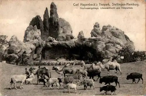 carl hagenbeck's tierpark, heufressergehege, löwenschlucht und felspartien (Nr. 10302)