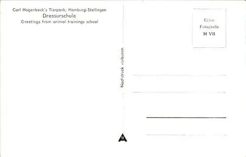 carl hagenbeck's tierpark, dressur-schule (Nr. 10389)