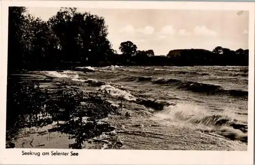 seekrug am selenter see, lütjenburg, ostholst. (Nr. 10393)