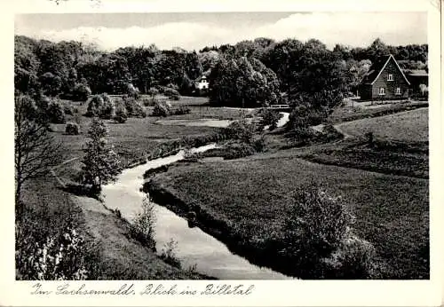 im sachsenwald, blick ins billetal, 1954 (Nr. 10549)