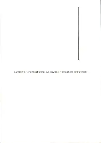 horst wöbbeking, worpswede, torfstich im teufelsmoor (Nr. 10571)