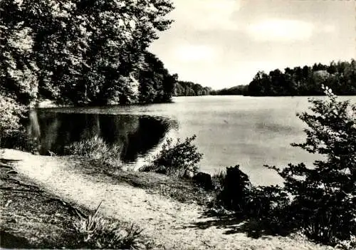 mölln, am schmalsee, 1964 (Nr. 10619)