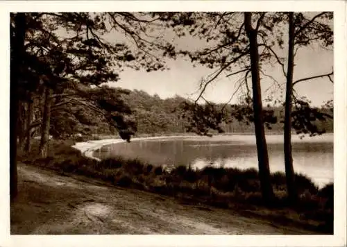 großer bullensee bei rotenburg/wümme (Nr. 10700)