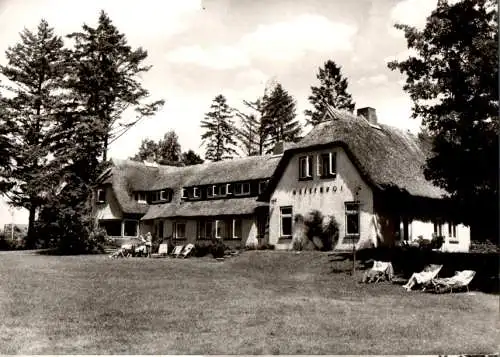 eutin/fissau, "wiesenhof am kellersee", hertha danger (Nr. 10749)