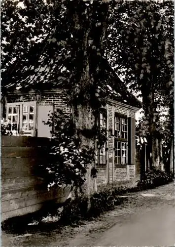 otterndorf (niederelbe), gartenhaus am norderwall, 1960 (Nr. 10752)