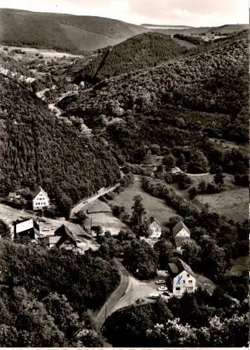 im lützbachtal, lütz ü. kastellaun hunsrück, 1968 (Nr. 10834)