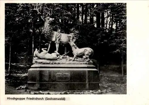 hirschgruppe friedrichsruh, sachsenwald, 1959 (Nr. 10873)