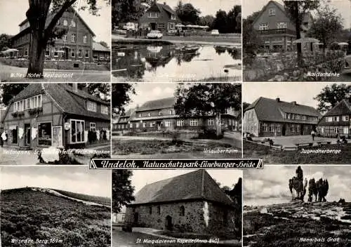 undeloh, naturschutzpark lüneburger heide, knick links (Nr. 10919)