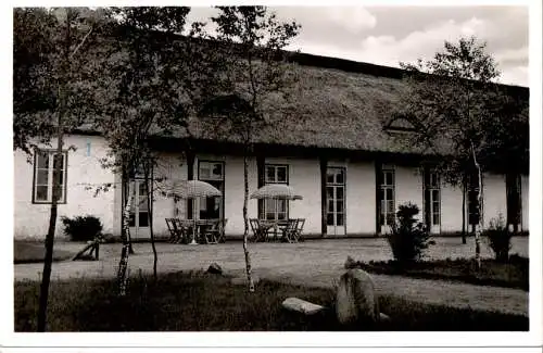 heimattiergarten gaststätte, neumünster, 1959 (Nr. 10943)