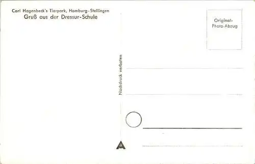 carl hagenbeck's tierpark, dressur-schule (Nr. 10985)