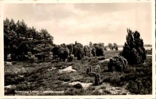 rotenburg i. hann., heidelandschaft (Nr. 11020)