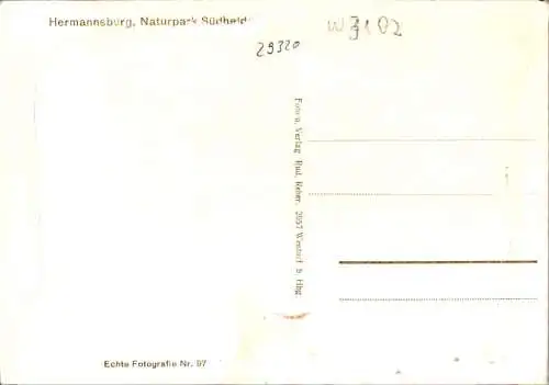 hermannsburg, naturpark südheide (Nr. 11061)