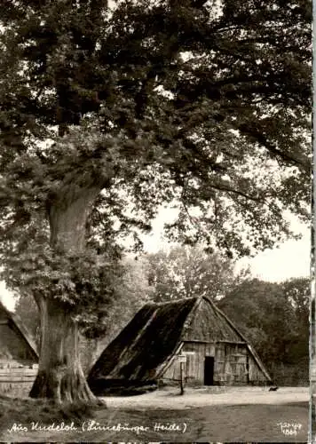 aus undeloh, lüneburger heide, 1974 (Nr. 11077)