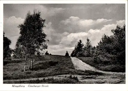 hingstberg, lüneburger heide, 1959 (Nr. 11078)