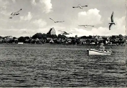 heiligenhafen, stadt mit fähre und möwen (Nr. 11088)