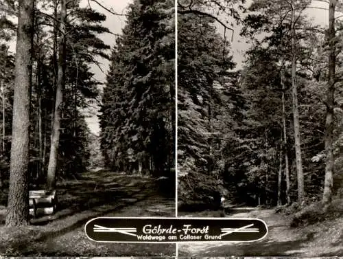 göhrde, waldwege am collaser grund, drawehn, 1979 (Nr. 11094)