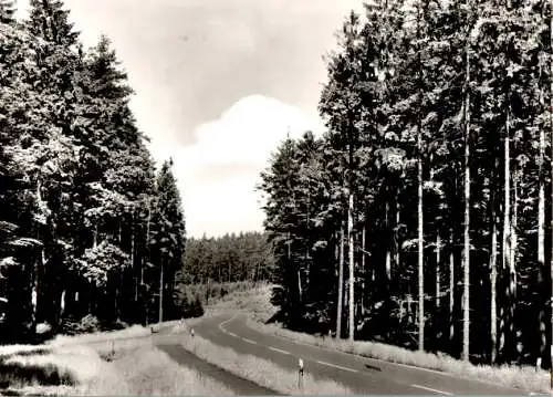 hochwaldstraße durch den forst rosengarten, krs. harburg (Nr. 11135)