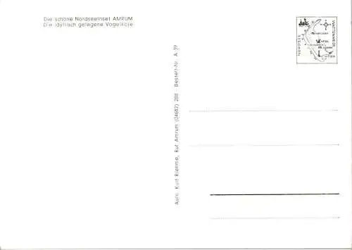 amrum, vogelkoje (Nr. 11137)