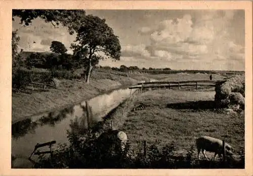 saebens worpswede, landschaft bei emden, ostfriesland (Nr. 11145)