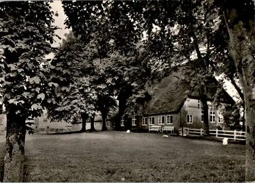 helse (dithmarschen), hof thiessen, 1964 (Nr. 11194)