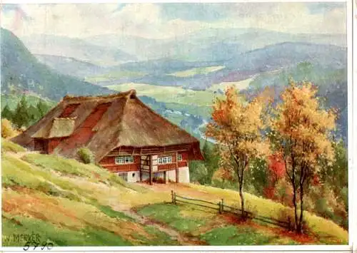 w. merker, schwarzwaldtal (Nr. 11429)