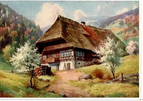 w. merker, frühling im schwarzwald (Nr. 11431)
