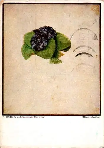 a. dürer, veilchenstrauß (wien, albertina) (Nr. 11508)