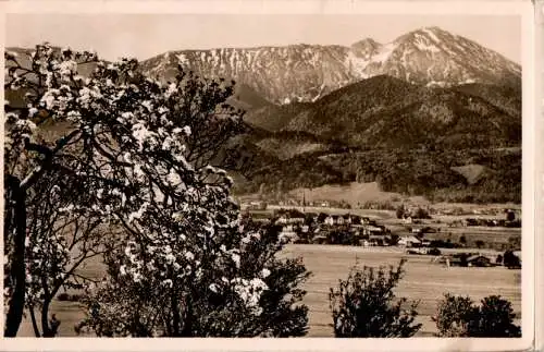 blick auf den hochfelln (Nr. 11628)