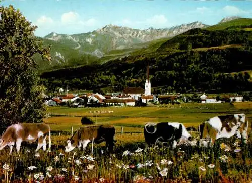 au (bayer. alpen) mit wendelstein (Nr. 11785)