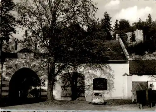 stein an der traun/obb., portal zum schloß mit burg (Nr. 11846)