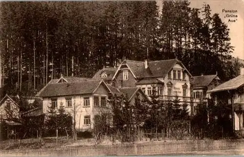 pension "grüne aue", finsterbergen 1925 (Nr. 11915)