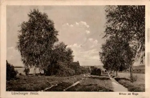 lüneburger heide, birken am wege, 1918 (Nr. 12109)