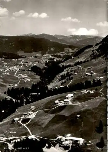 mittelberg, wildental, 1969 (Nr. 12192)