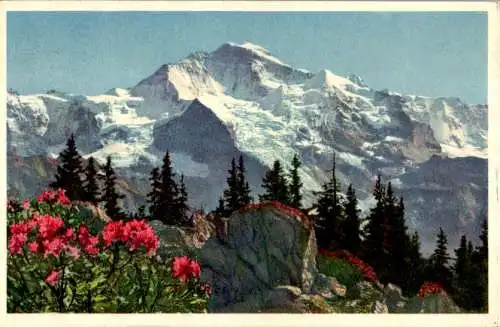 die jungfrau, 1956 (Nr. 12226)