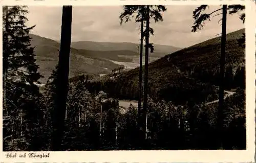 besenfeld, blick ins murgtal, 1940 (Nr. 12257)