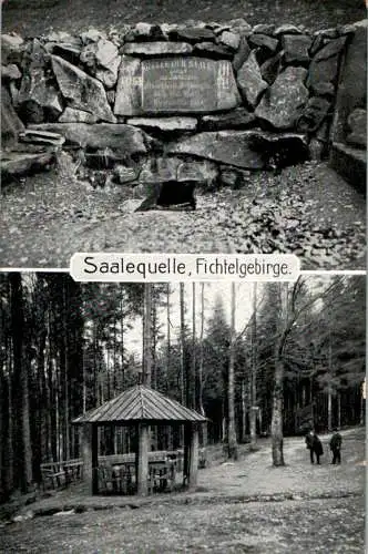 saalequelle, fichtelgebirge (Nr. 12329)