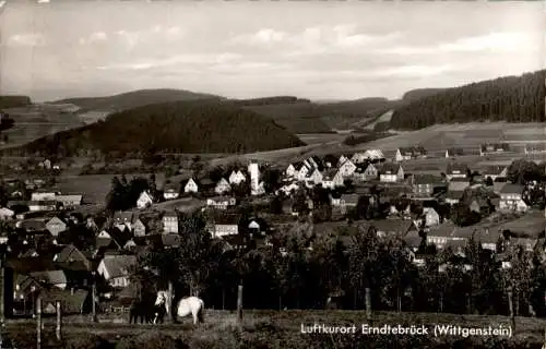 erndtebrück (wittgenstein) (Nr. 12359)