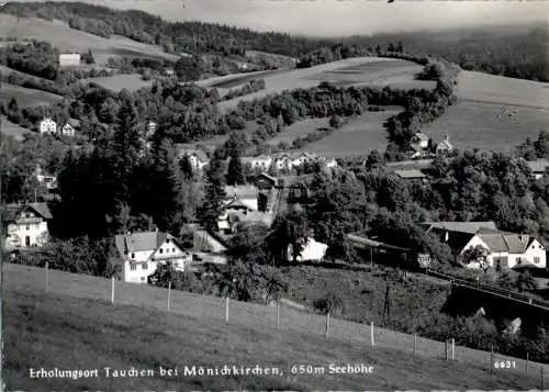 tauchen bei mönichkirchen (Nr. 12463)