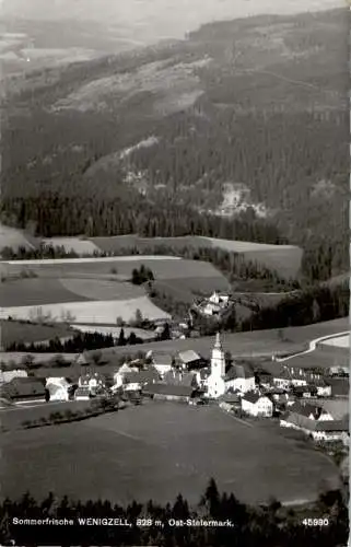 sommerfrische wenigzell, ost-stmk. (Nr. 12640)