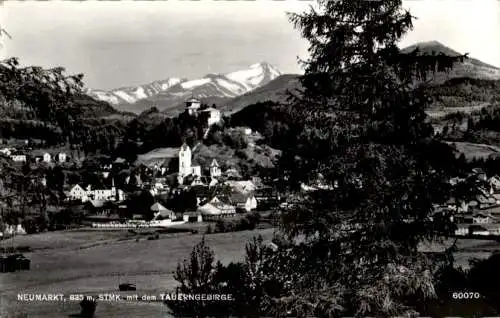 neumarkt mit dem tauerngebirge (Nr. 12671)