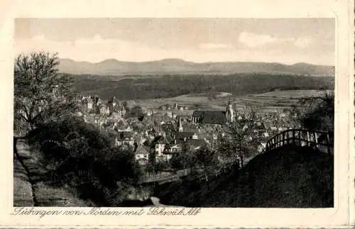 tübingen von norden mit schwäbischer alb (Nr. 12818)