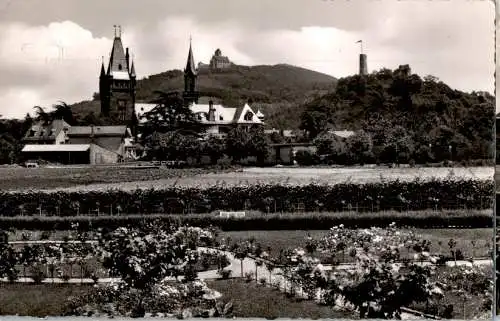 weinheim, wachenburg, windeck (Nr. 12973)