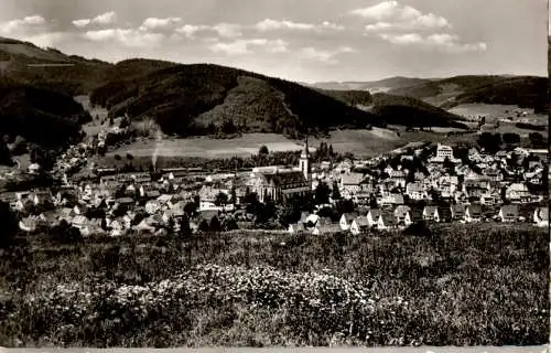 neustadt/hochschwarzwald (Nr. 12979)