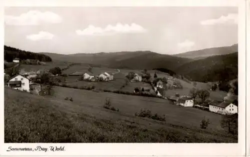 sommerau, bayer. wald (Nr. 12989)