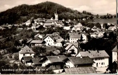 schönberg im bayer. wald (Nr. 12991)