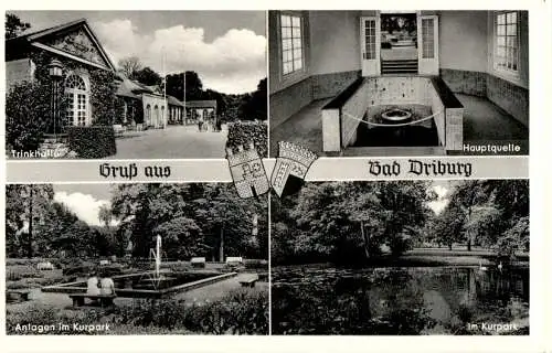 gruß aus bad driburg (Nr. 12997)